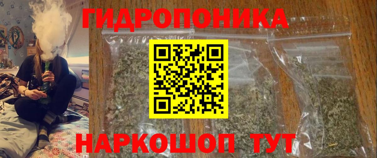 МЕФ Кимры